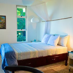 Moonlight Studio @montego Bay Club , Montego Bay Jamaica