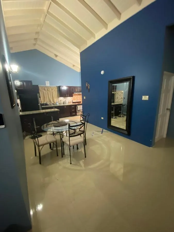 招待所 Villa Oasis Drax Hall 奥乔里奥斯